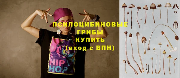 прущий лед Алексеевка