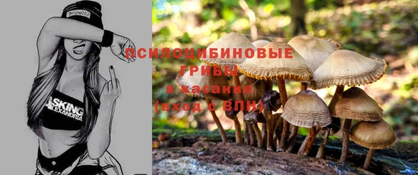 кокаин колумбия Алзамай